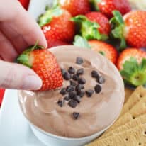 Chocolate Yogurt Fruit Dip