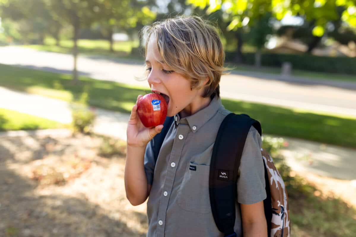Incorporate Apples In Lunch Boxes
