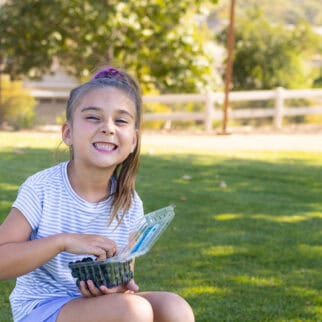 On the go breakfast ideas fresh blueberries