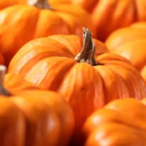 What’s in Season for October?