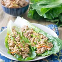 Asian Turkey Lettuce Wraps