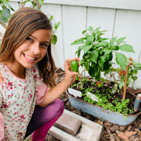 Girl picking peppers from the garden.